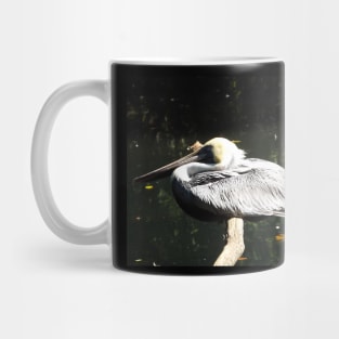 Exotic Bird, Bronx Zoo, Bronx, New York City Mug